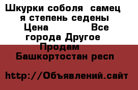 Шкурки соболя (самец) 1-я степень седены › Цена ­ 12 000 - Все города Другое » Продам   . Башкортостан респ.